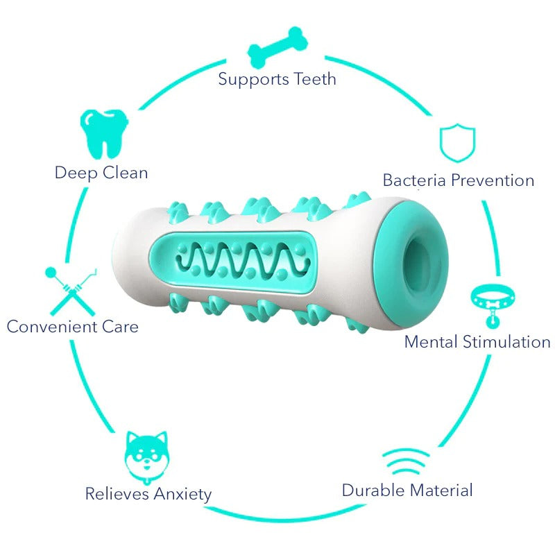 Dog Chew & Teeth Cleaning Toy