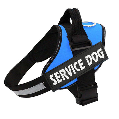 No Pull Dog Harness | Personalised