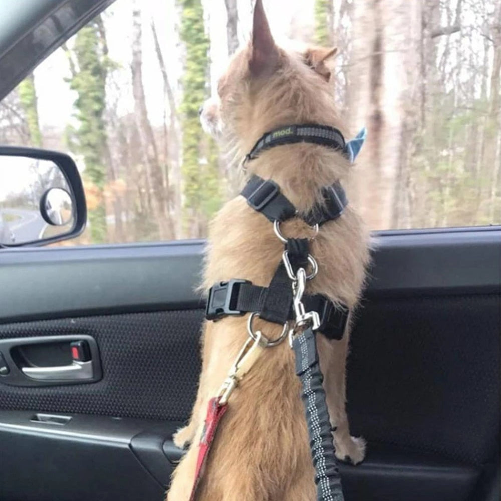 Dog SeatBelt™