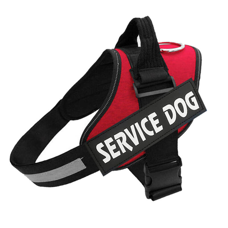 No Pull Dog Harness | Personalised