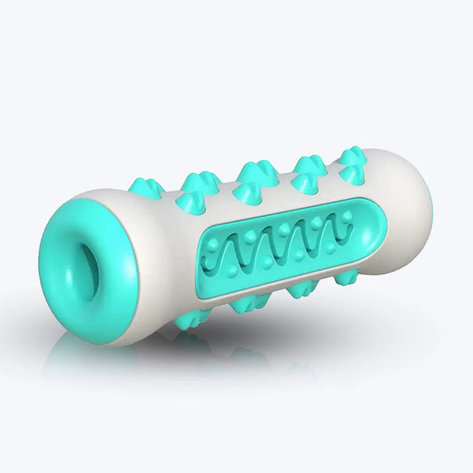 Dog Chew & Teeth Cleaning Toy