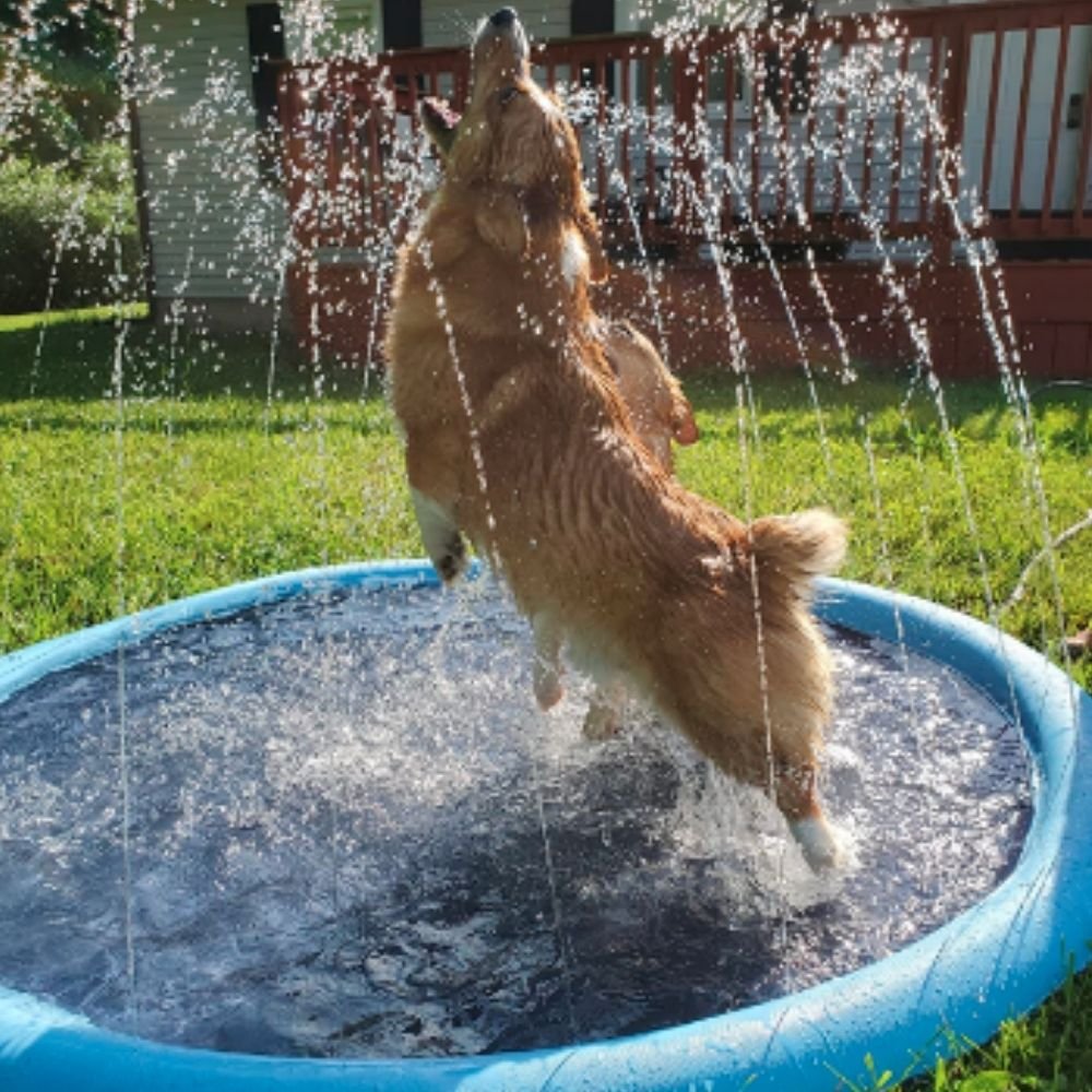 Furry Splasher
