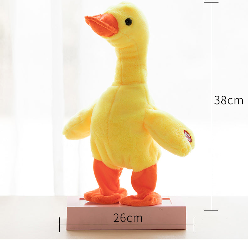 The QuackQuack Duck™️