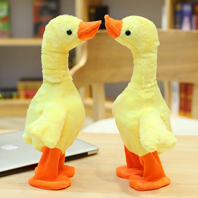 The QuackQuack Duck™️