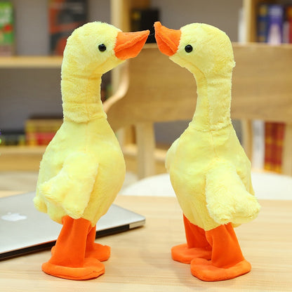 The QuackQuack Duck™️