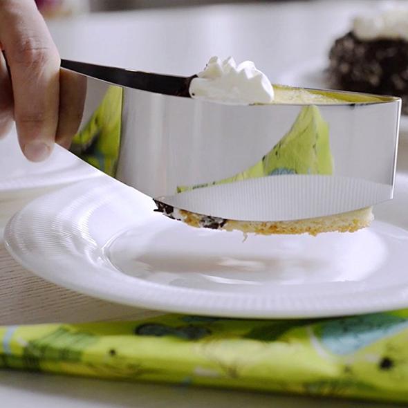 Stainless Cake Slicer
